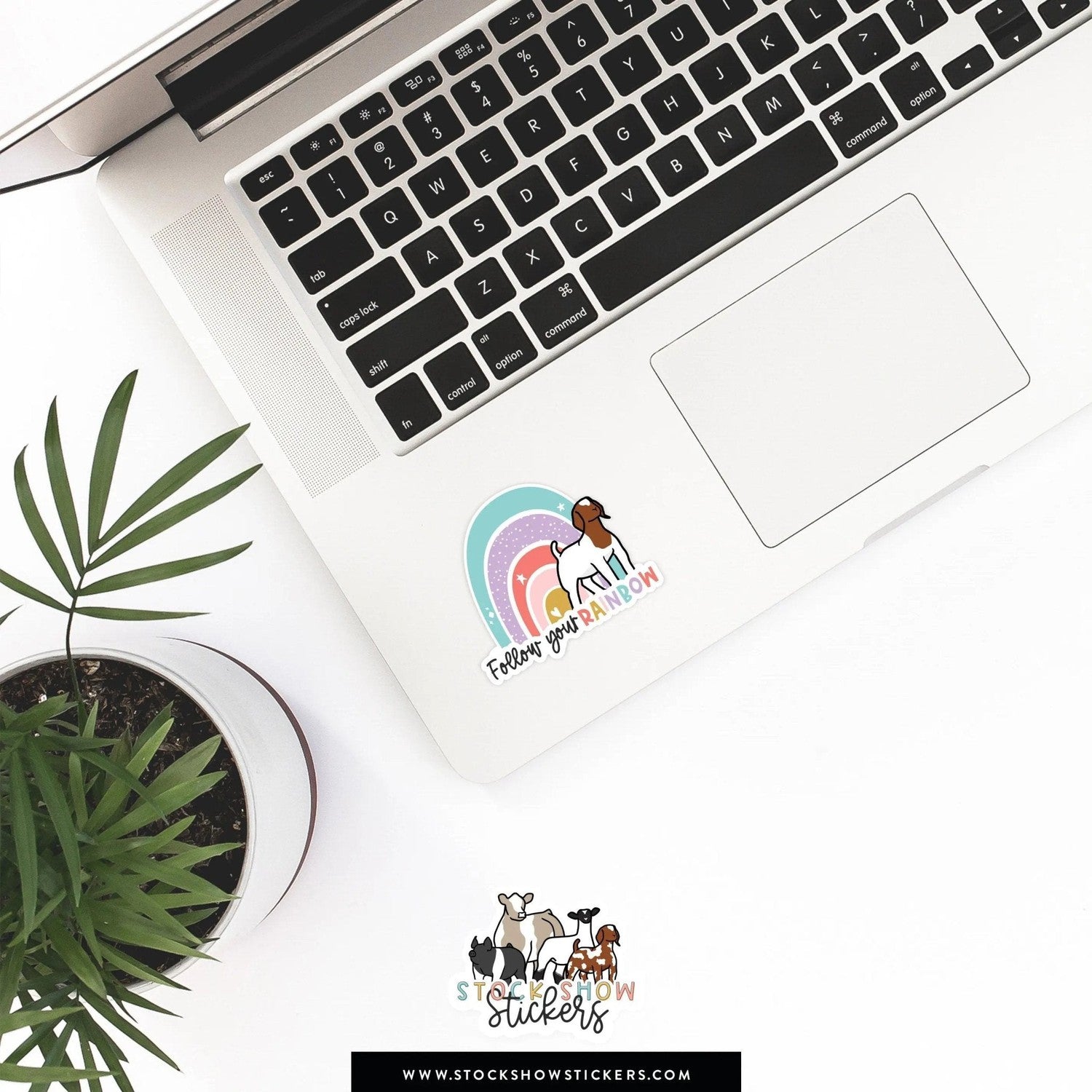 Custom Made Follow Your Rainbow Livestock Stickers Stock Show Livestock - Livestock & Co. Boutique