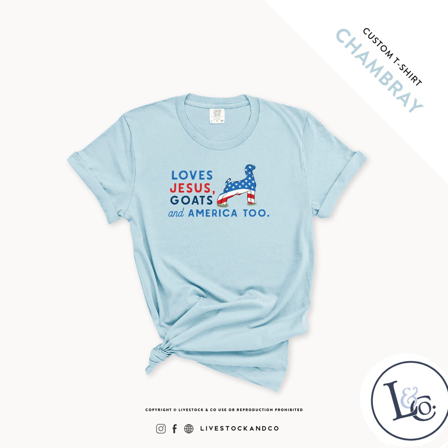 Custom Made Loves Jesus, Goats and America Too - Youth T-Shirt Stock Show Livestock - Livestock & Co. Boutique