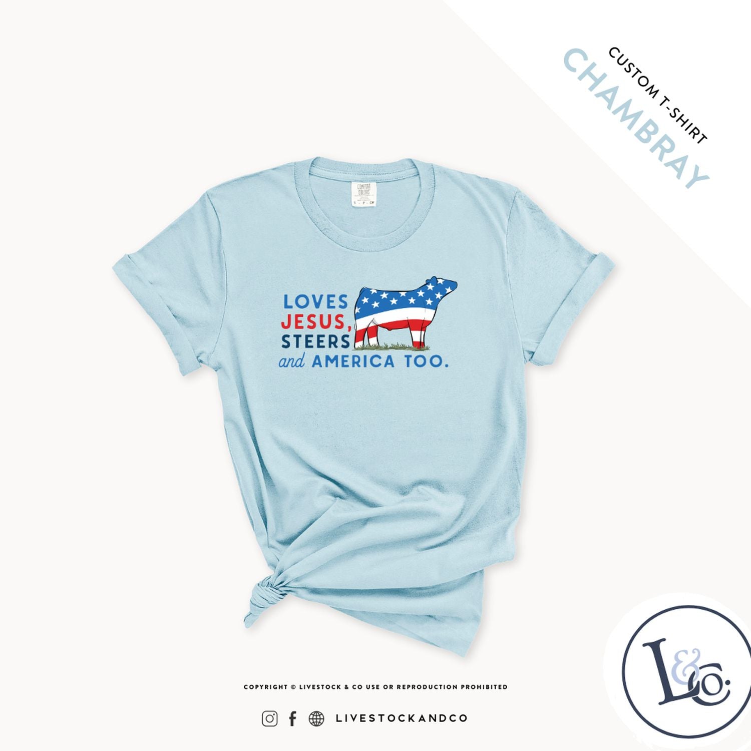 Custom Made Loves Jesus, Steers and America Too - Youth T-Shirt Stock Show Livestock - Livestock & Co. Boutique