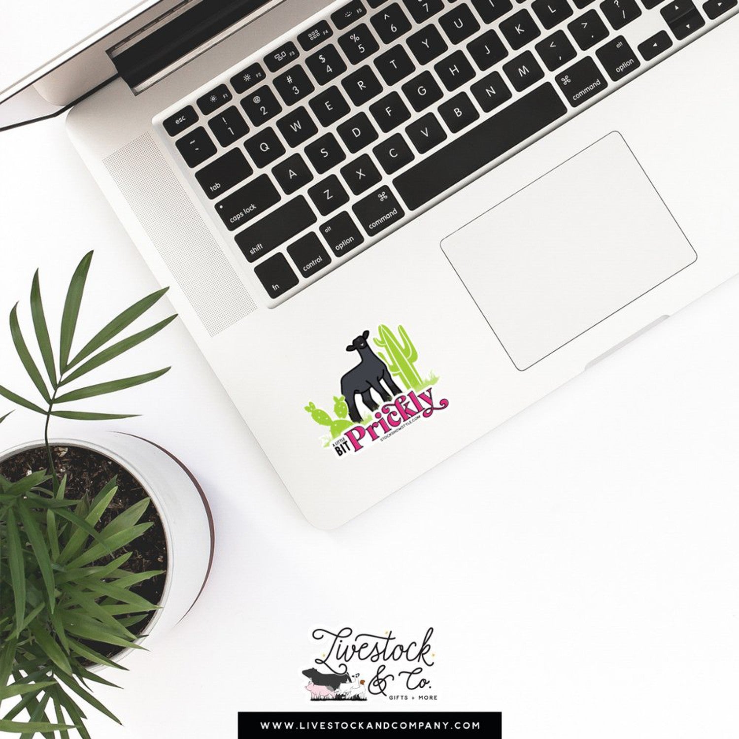Custom Made Prickly Livestock Stickers Stock Show Livestock - Livestock & Co. Boutique