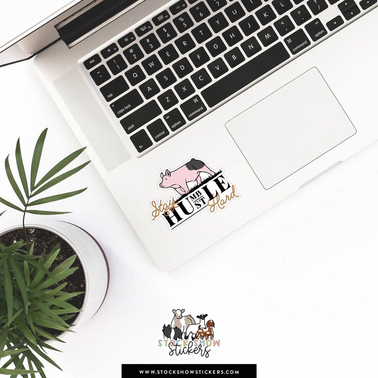 Custom Made Stay Humble Hustle Hard Livestock Stickers Stock Show Livestock - Livestock & Co. Boutique