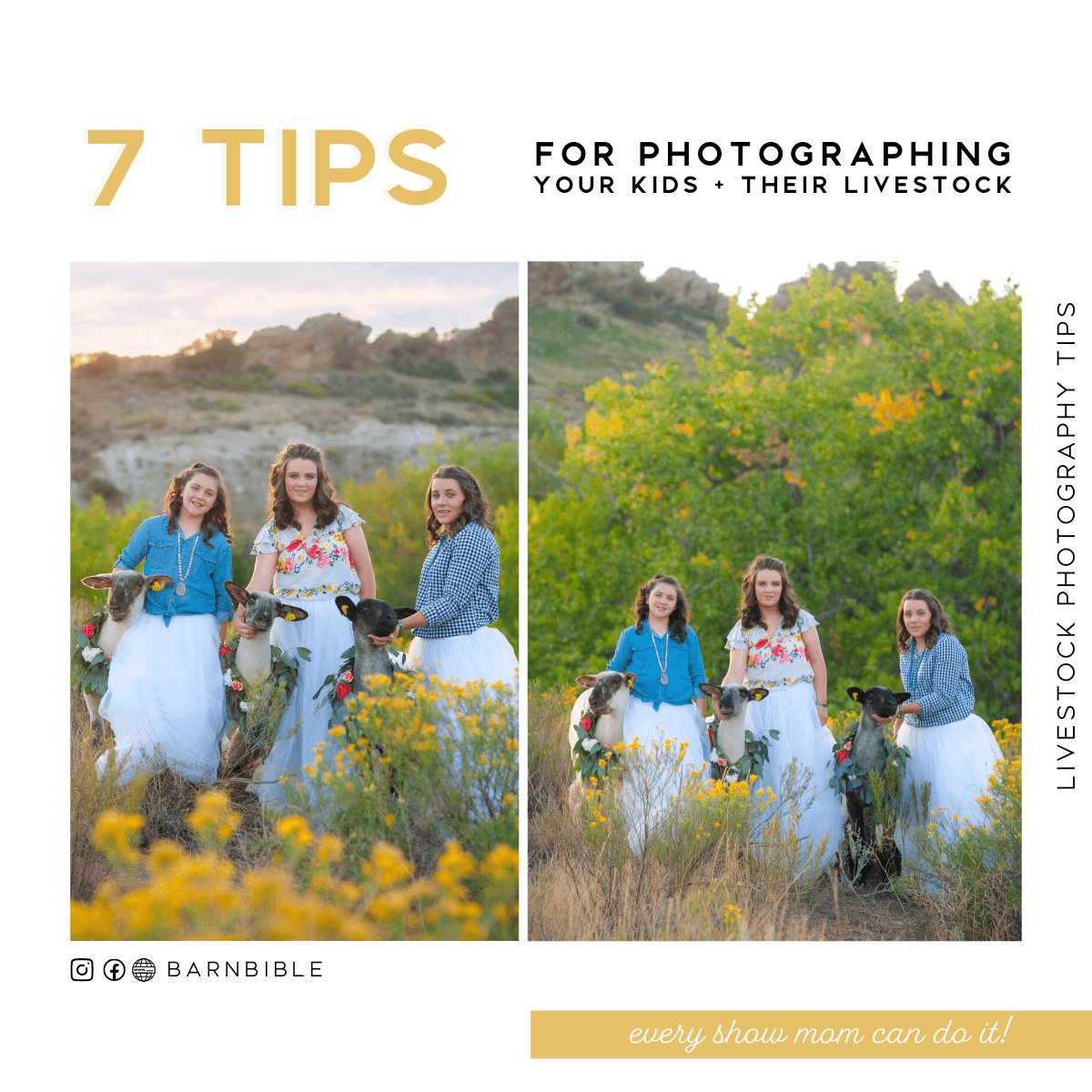 7 Tips for Photographing Your Kids and Their Livestock - Livestock & Co.