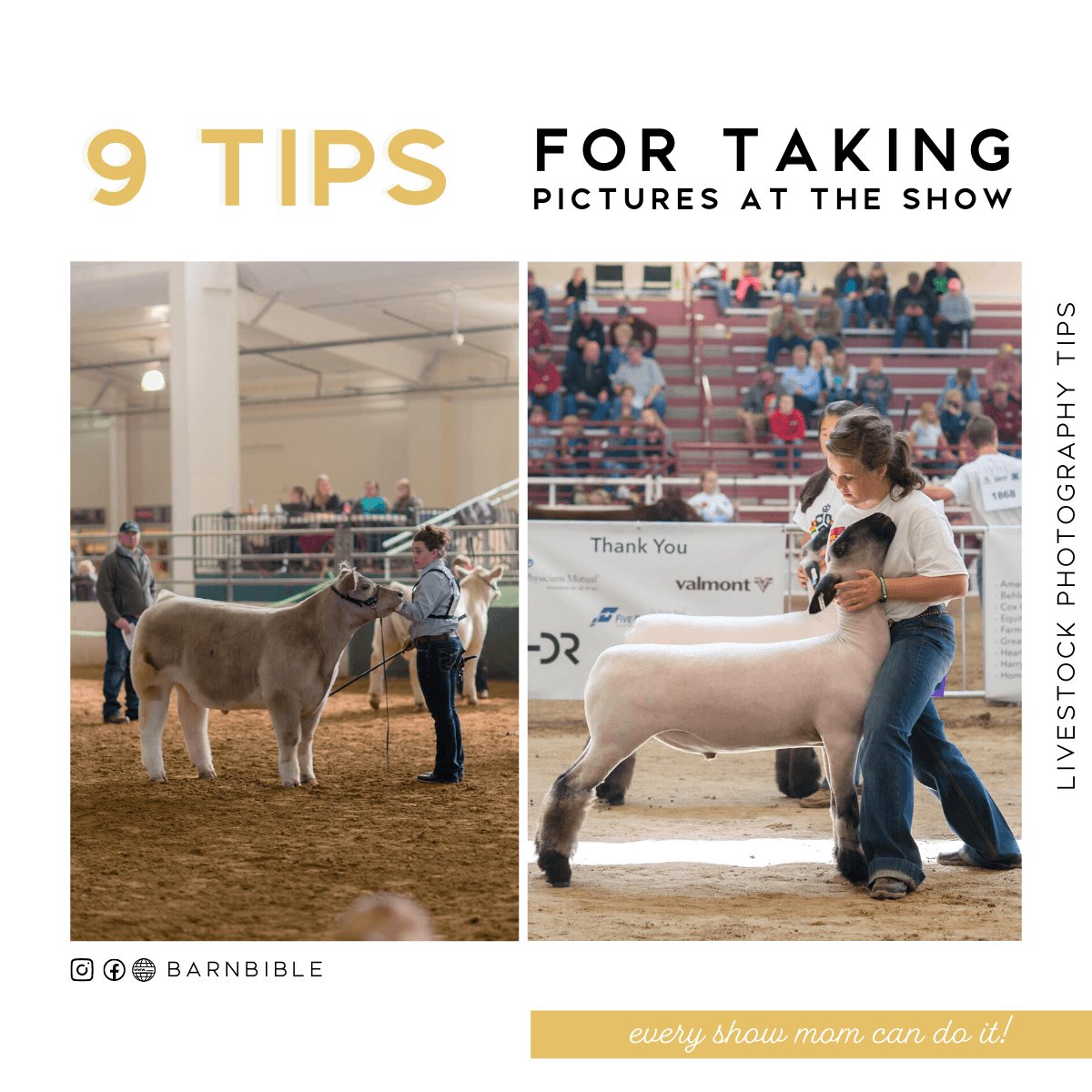 9 Tips for Taking Pictures at the Show - Livestock & Co.