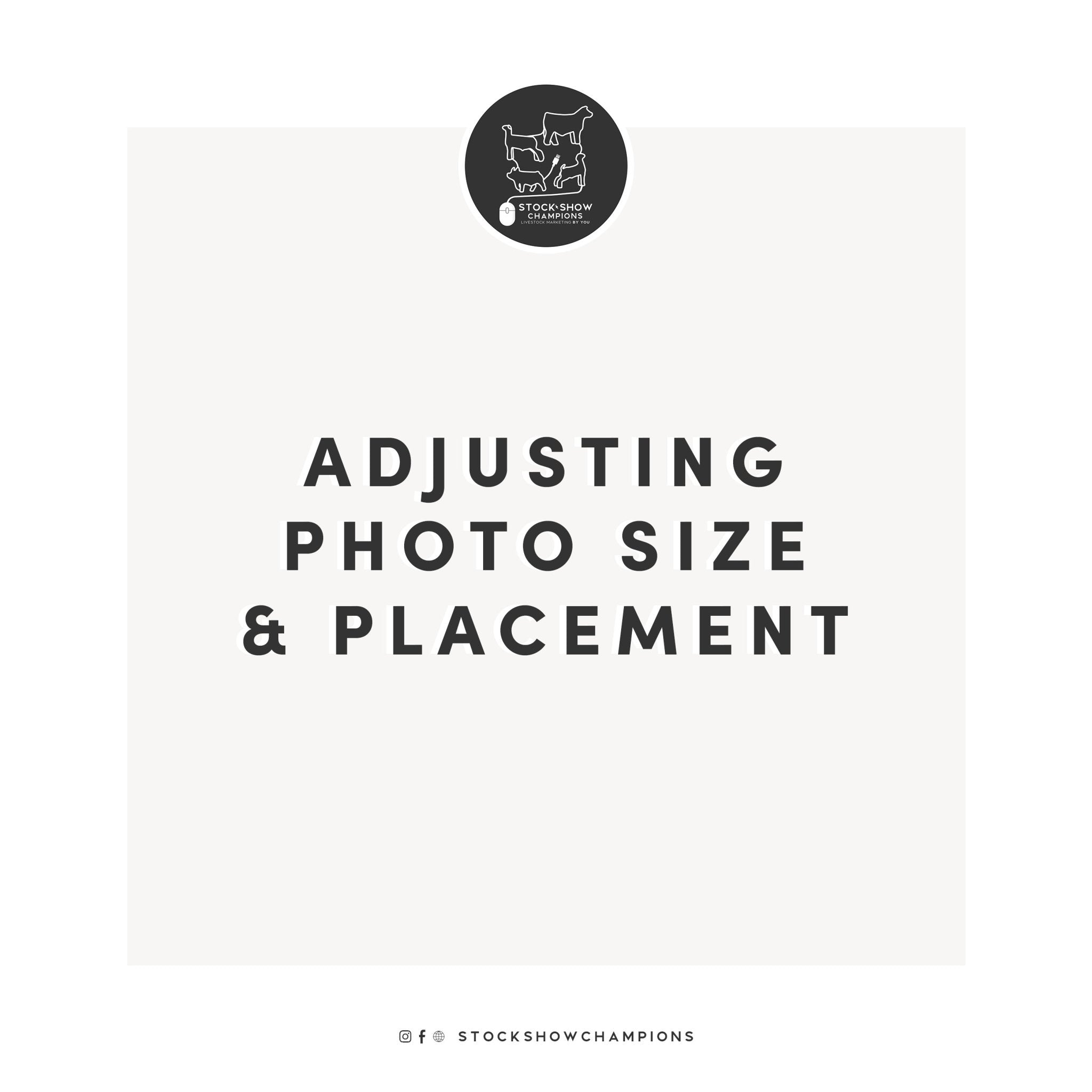Adjusting photo size & placement - Livestock & Co.