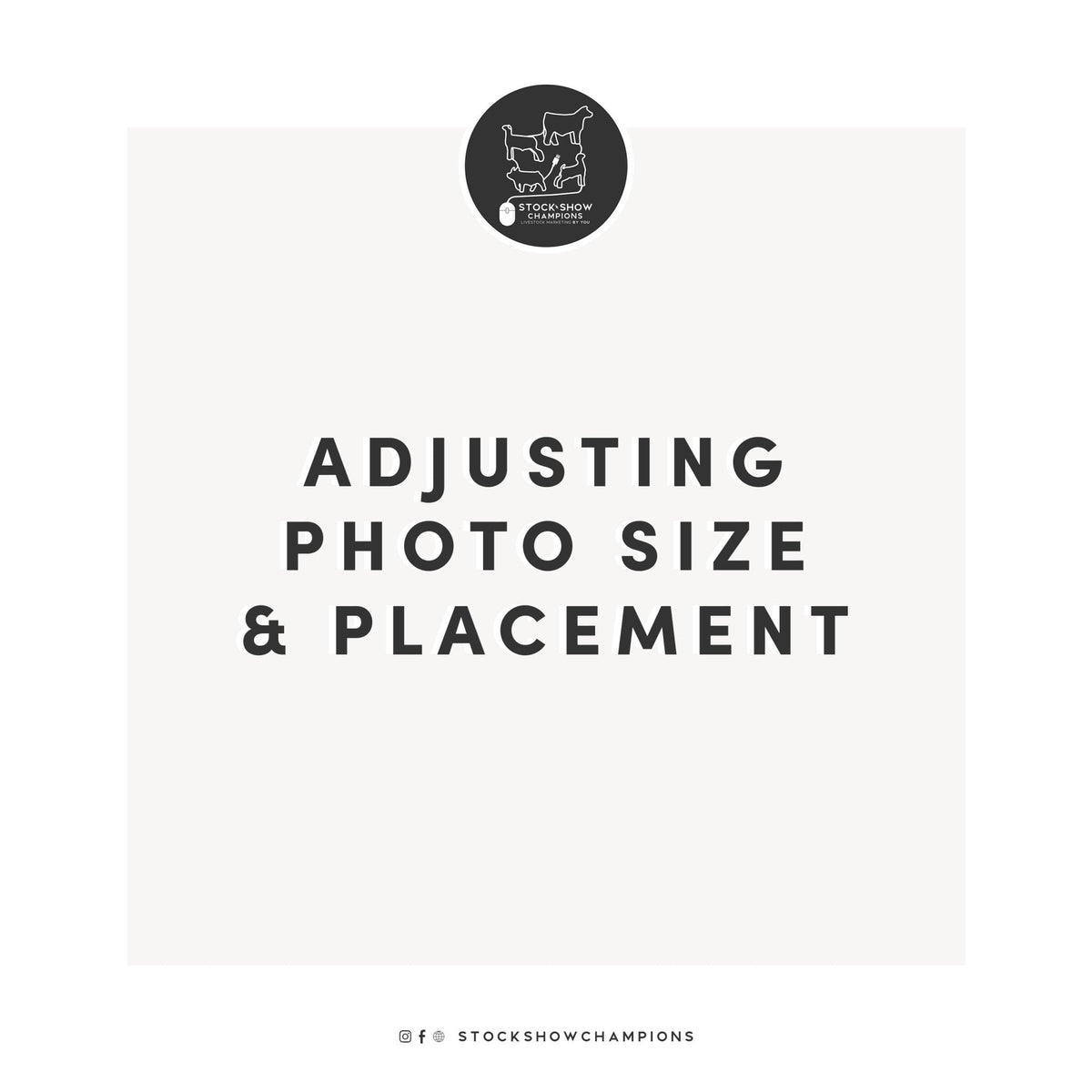 Adjusting photo size & placement - Livestock & Co.