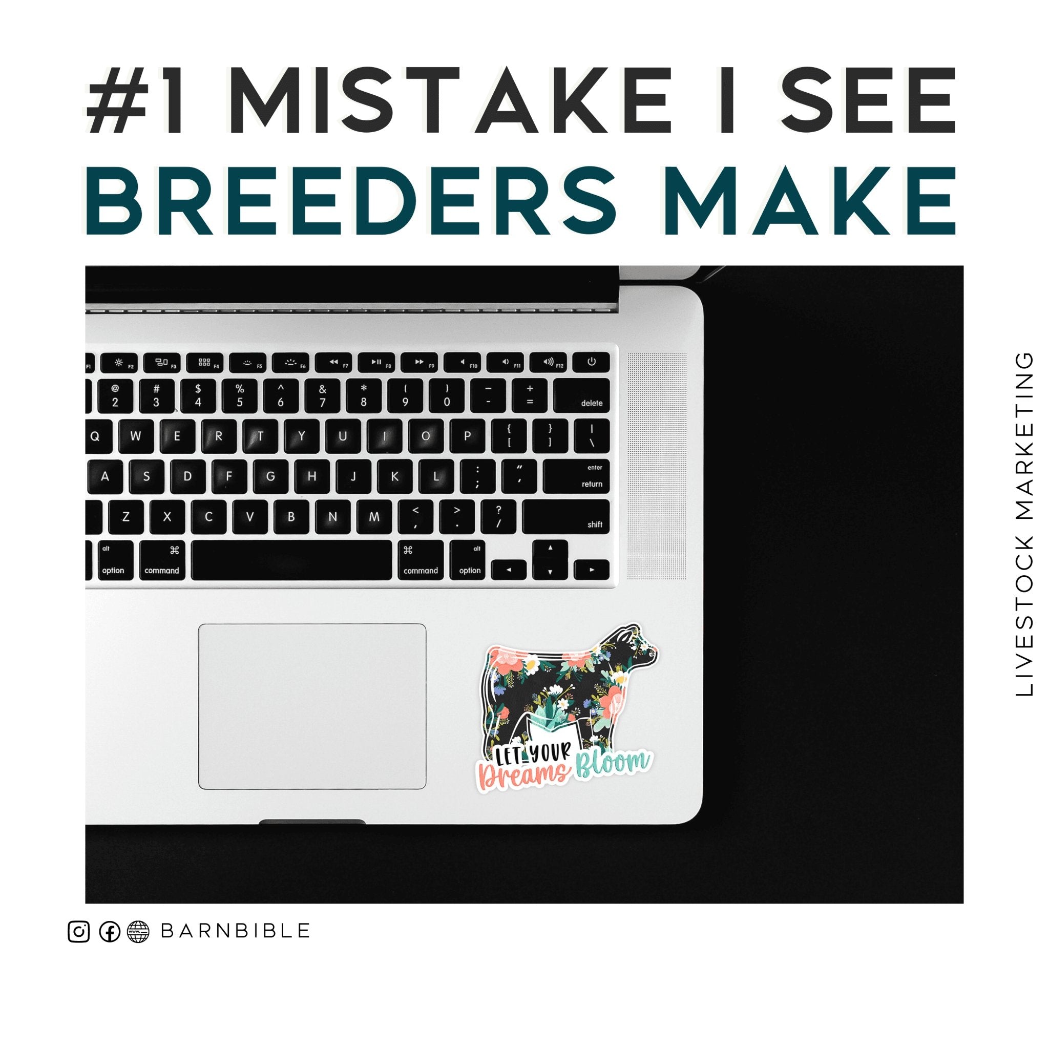 Are you making this common livestock marketing mistake? - Livestock & Co.