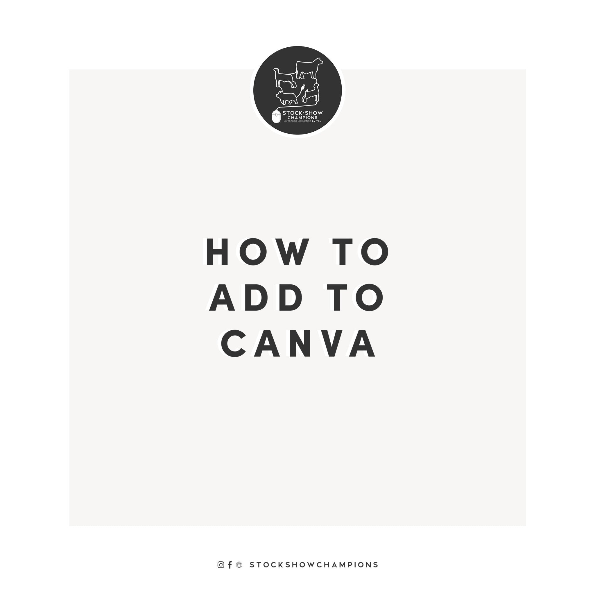 How do I add a template to my Canva account? - Livestock & Co.