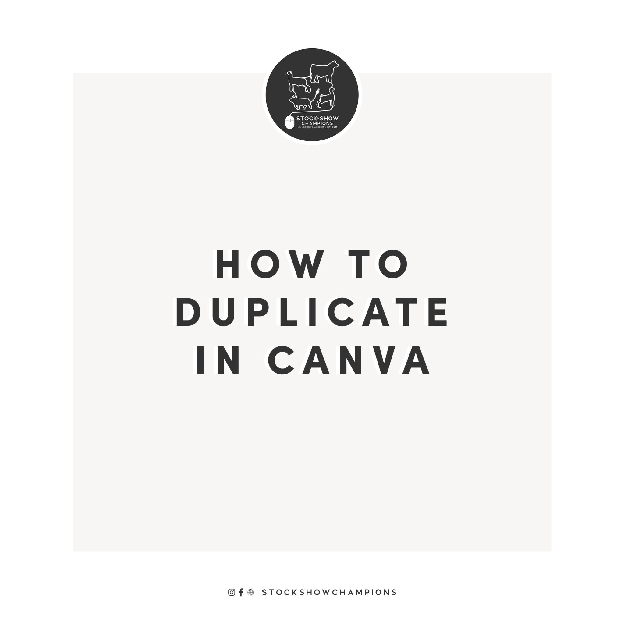 How do I duplicate a template? - Livestock & Co.