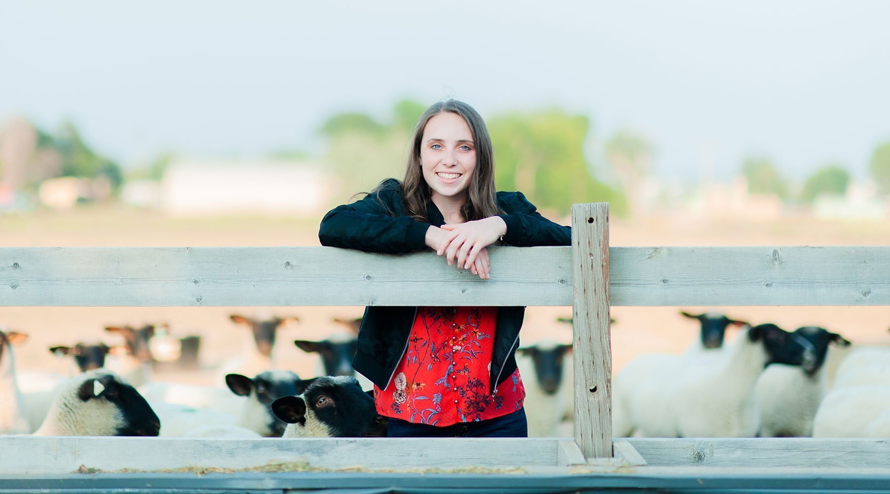 Senior Girl Livestock Session - Livestock & Co.