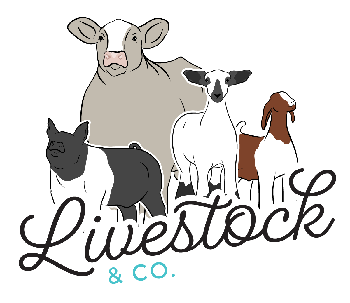 Livestock Show Animal Clipart