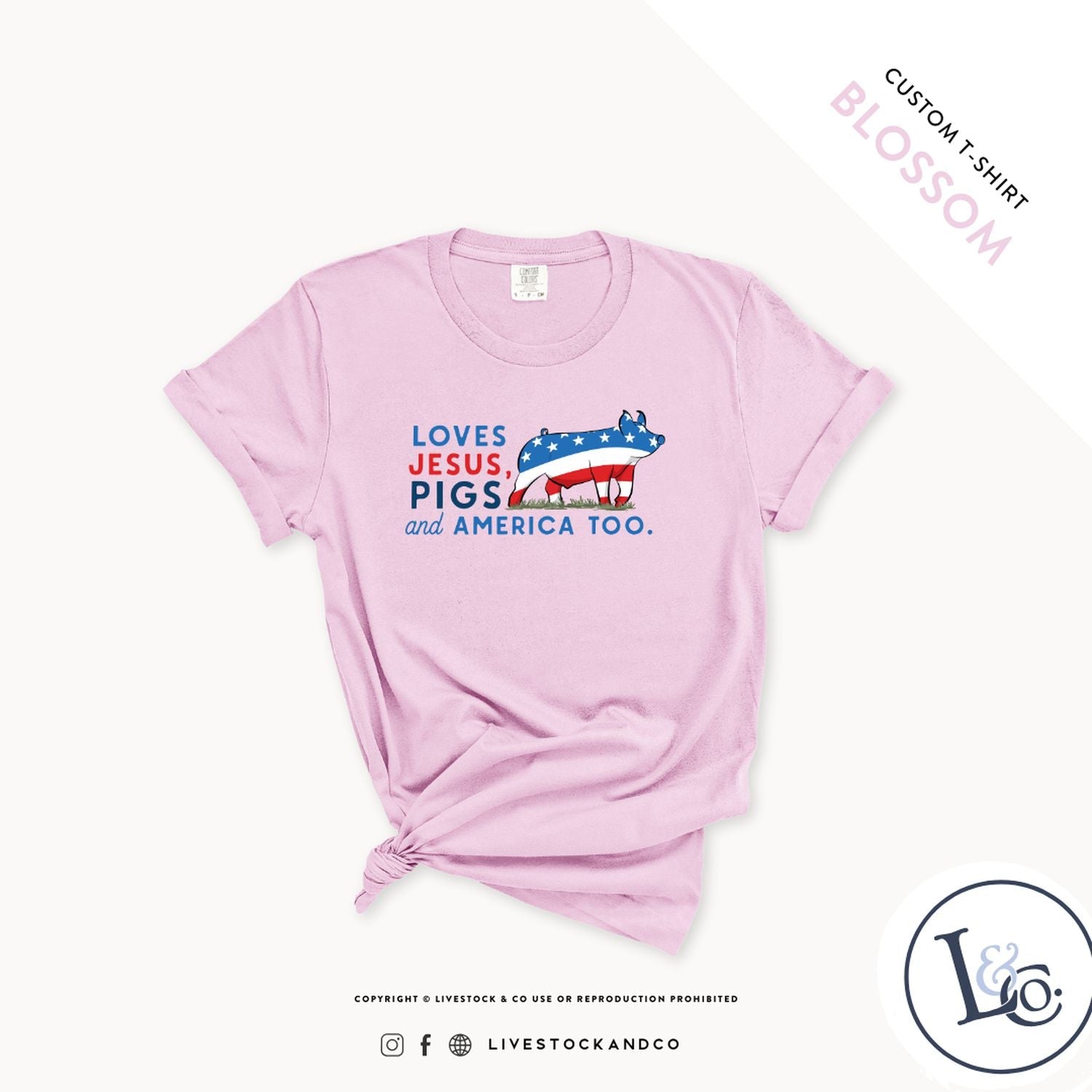 Custom Made Loves Jesus, Pigs and America Too - Youth T-Shirt Stock Show Livestock - Livestock &amp; Co. Boutique