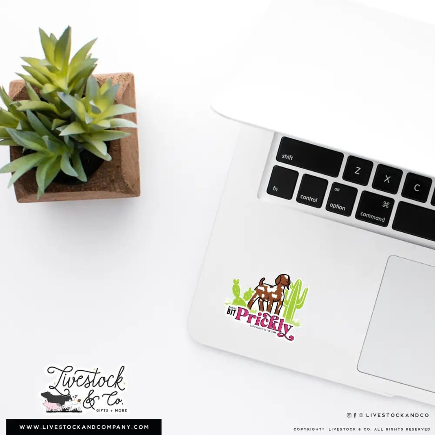Custom Made Prickly Livestock Stickers Stock Show Livestock - Livestock &amp; Co. Boutique